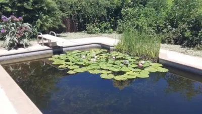 Gaia Creations - Tree & Shrub Care in Chico, CA