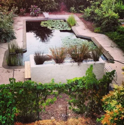 Gaia Creations - Tree & Shrub Care in Chico, CA