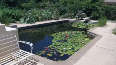 Gaia Creations - Tree & Shrub Care in Chico, CA