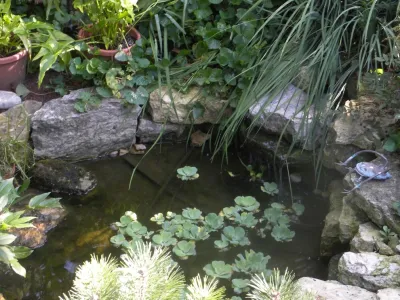 Backyard Pond by Ganshert Nursery & Landscapes