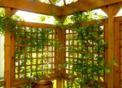 Wooden Latticework — Landscape Construction project by Ganshert Nursery & Landscapes