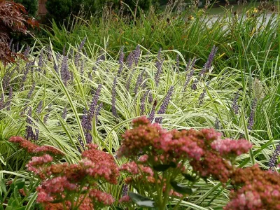 Garden City Landscape - Seasonal Yard Cleaning in Waltham, MA
