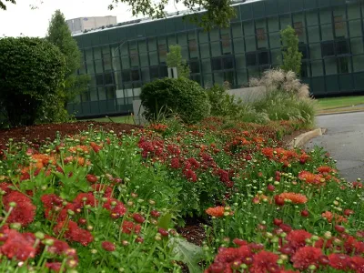 Garden City Landscape - Seasonal Yard Cleaning in Waltham, MA