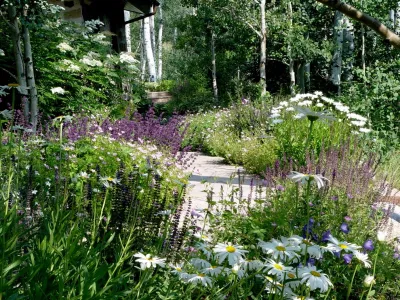 Garden Creations, Inc. - Landscape Maintenance in Avon, CO