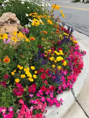 Garden Creations, Inc. - Landscape Maintenance in Avon, CO