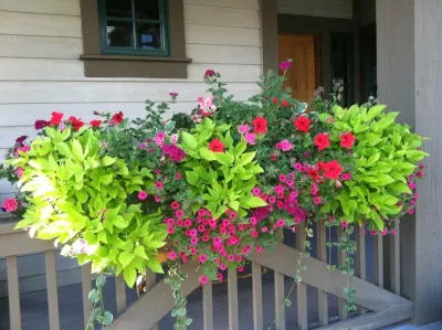 Garden Creations, Inc. - Landscape Maintenance in Avon, CO