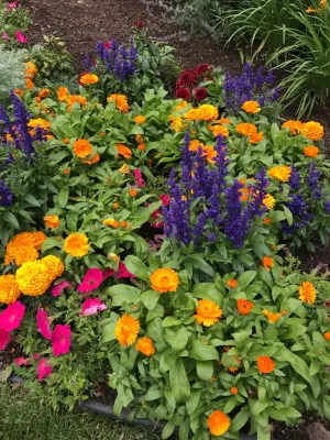 Garden Creations, Inc. - Landscape Maintenance in Avon, CO