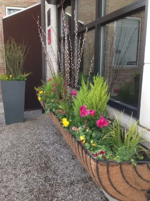 Chicago Spring Annuals 2015 — Landscape Design project by Brent Riechers Landscape (BRL LANDesign)