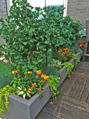 South Loop Terrace — Landscape Design project by Brent Riechers Landscape (BRL LANDesign)