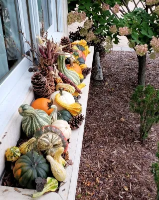 Garden Stories - Tree Planting & Transplanting in Apple Valley, CA