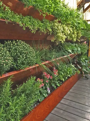 Lincoln Park Herb Wall — Landscape Design project by Brent Riechers Landscape (BRL LANDesign)