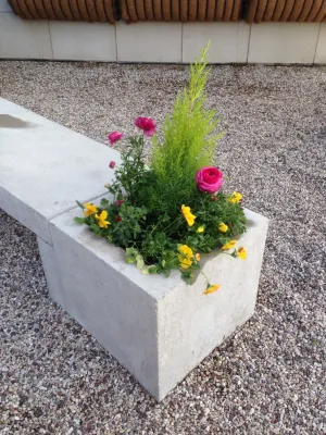 Brent Riechers Landscape (BRL LANDesign) - Landscape Maintenance in Chicago, IL