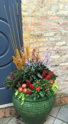 Lincoln Park Fall Annuals — Landscape Design project by Brent Riechers Landscape (BRL LANDesign)