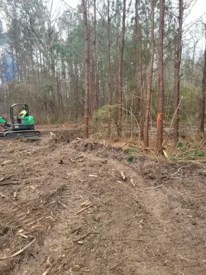Site Preparation and Land Clearance — Home Renovation & Remodeling Services project by TNT Development