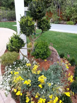 Lindsay and Todd — Landscape Construction project by Garden To Life Landscaping