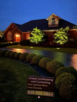 Outdoor Illumination Setup — Home Renovation & Remodeling Services project by Unique Contracting & Landscaping, LLC