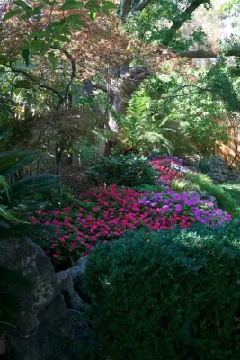 Barbara and Richard — Landscape Construction project by Garden To Life Landscaping