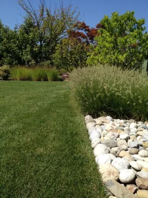 Jersey home by Brian Higley - Landscape Architect