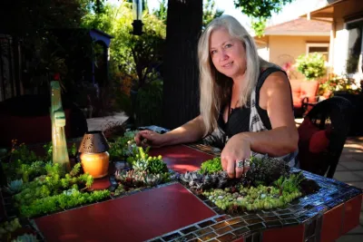 creation of succulent table — Landscape Construction project by Garden To Life Landscaping