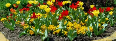 GardenArt - Garden Remodeling in West Lafayette, IN