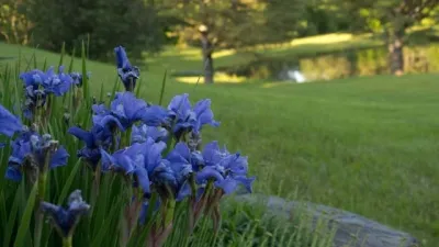 Gardenessa - Landscape Construction in Bristol, VT