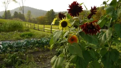 Gardenessa - Landscape Construction in Bristol, VT