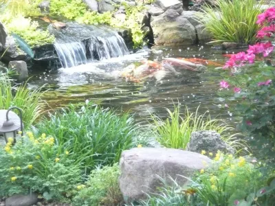 Gardening Angel Landscaping - Landscape Maintenance in Webster Groves, MO