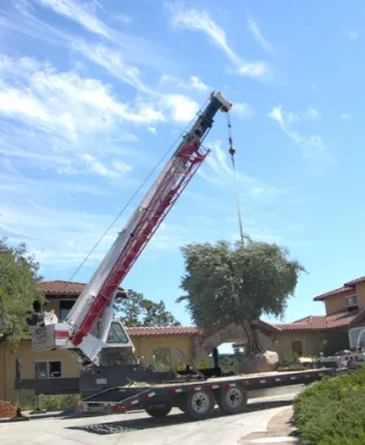 Gardens of the Wine Country - Tree & Shrub Care in Santa Rosa, CA