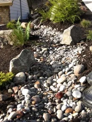 Gardens of the Wine Country - Tree & Shrub Care in Santa Rosa, CA