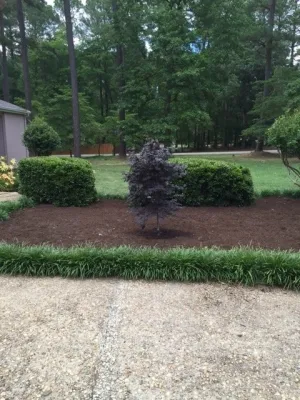 GEM Landscaping - Tree & Shrub Care in Holly Springs, NC