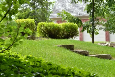George Cardenas Landscape - Landscape Repair in Northbrook, IL