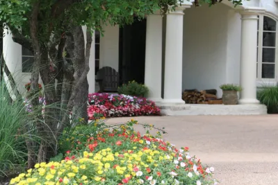 Elements Group - Tree & Shrub Care in Austin, TX