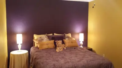 LSU Supporters Lounge — Home Renovation & Remodeling Services project by WLC Pressure Washing & Services