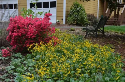 Glasscapes Inc - Lawn Care & Mowing in Woodstock, GA
