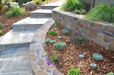 GLI Norcal Landscape Construction - Drip Irrigation System Installation in Greenbrae, CA