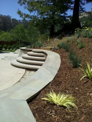 San Rafael — Landscape Construction project by GLI Norcal Landscape Construction in San Rafael
