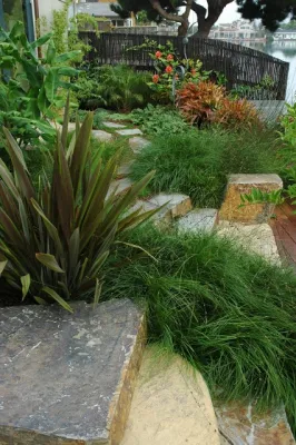 GLI Norcal Landscape Construction - Drip Irrigation System Installation in Greenbrae, CA