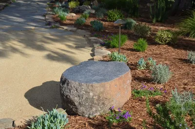 GLI Norcal Landscape Construction - Drip Irrigation System Installation in Greenbrae, CA