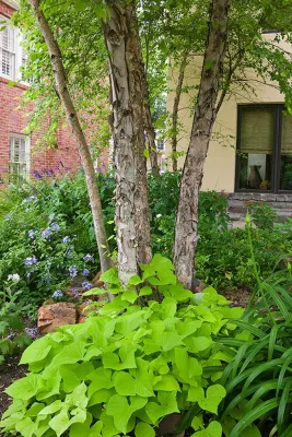 Glorious Gardens Inc - Landscape Maintenance in Houston, TX