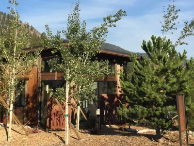 Goat Wall Landscaping Inc. - Drip Irrigation System Installation in Mazama, WA