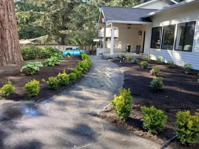 GoGreen Landscaping LLC - Lawn Aeration in Kirkland, WA