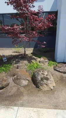 Golden Bear Landscape Management - Deck Building & Repair in Manteca, CA