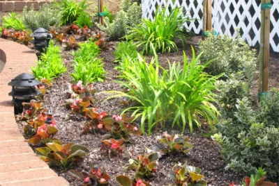 Gonzalez Landscaping & Tree - Tree & Shrub Care in Moorpark, CA