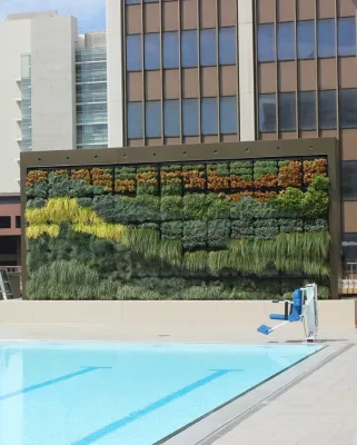 Good Earth Plant Company and GreenScaped Buildings - Landscape Construction in San Diego, CA