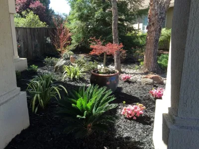 Gove Landscape Construction - Sprinkler Installation & Repair in El Dorado Hills, CA