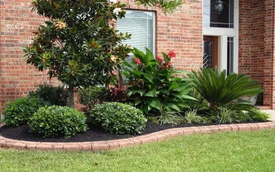 Grand Design Landscape - Landscape Construction in Vista, CA