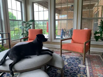 Nicholasville Sunroom Makeover — Interior Design & Decorating project by Lauren Young - For Friends