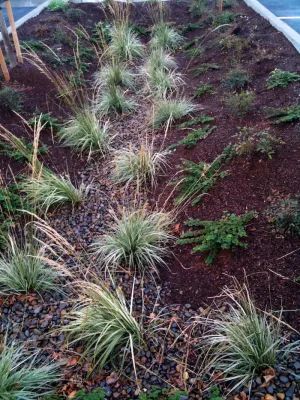 Green Acres Landscape, Inc. - Lawn Care & Mowing in Salem, OR