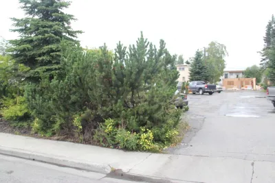 Privacy Screening solutions — Landscape Construction project by Green Acres Landscaping & Aquascapes