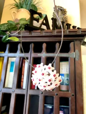 It Is Finished Designs - Professional Home Organizers in Colorado Springs, CO
